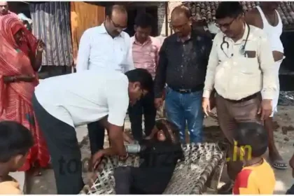Diarrhea continues to wreak havoc in Chila's Lakhanpur village