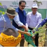 Madihaan Maha Kumbh organized on World Environment Day