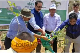 Madihaan Maha Kumbh organized on World Environment Day
