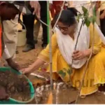 Massive tree plantation program organized in Mirzapur on World Environment Day