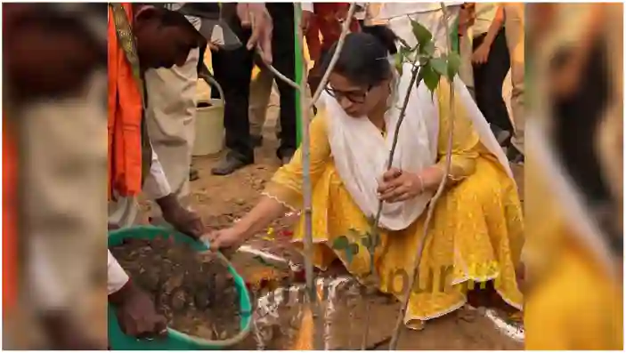 Massive tree plantation program organized in Mirzapur on World Environment Day