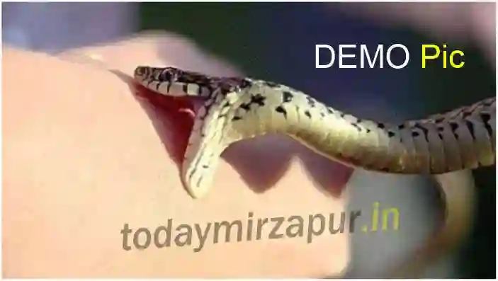 Snake demo pic